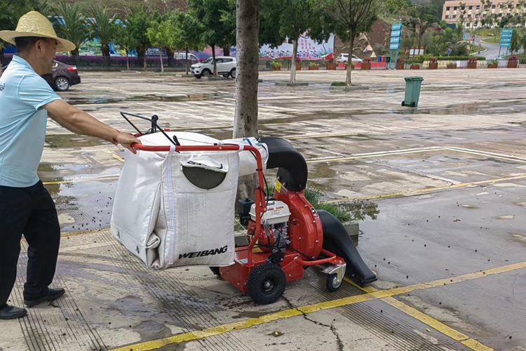 云南昆明寶來(lái)潔燃油版WBLV506H吸葉機(jī)道路草叢 公園物業(yè)小區(qū)學(xué)校市容保潔吸樹葉機(jī)